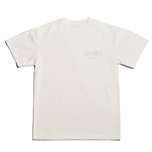 Varsity Logo T-shirt in Moonbeam. Medium